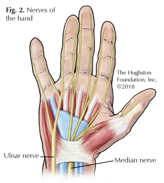 New Developments in Hand Surgery - Georgia