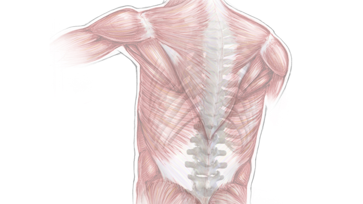 Minimally Invasive Spinal Surgery: At a Glance