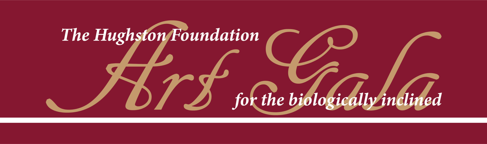 Hughston Foundation Fourth Annual Art Gala