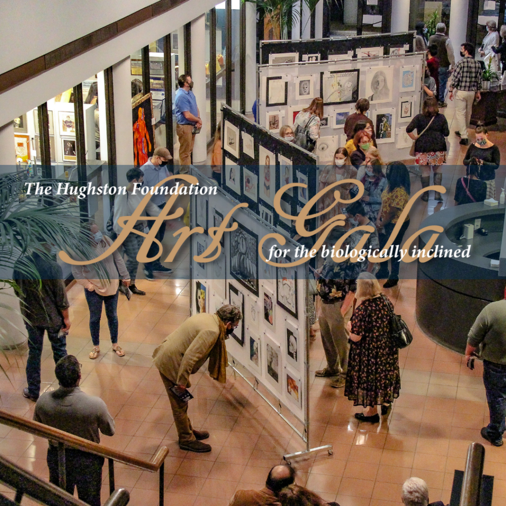 2021 Art Gala Exhibition - Georgia